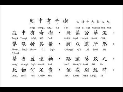 庭中有奇樹講義|康軒八上第二課古體詩選(庭中有奇樹/慈烏夜啼)